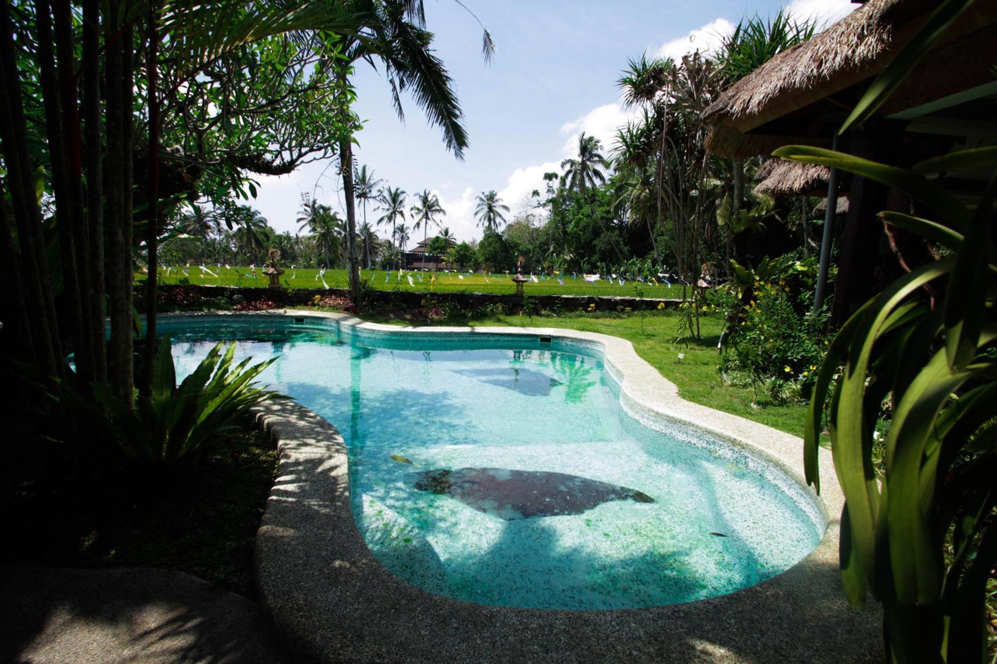 Saudara Home Ubud Exterior photo